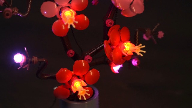 Amazon.com: LocoLee Light Compatible with Lego Plum Blossom 10369